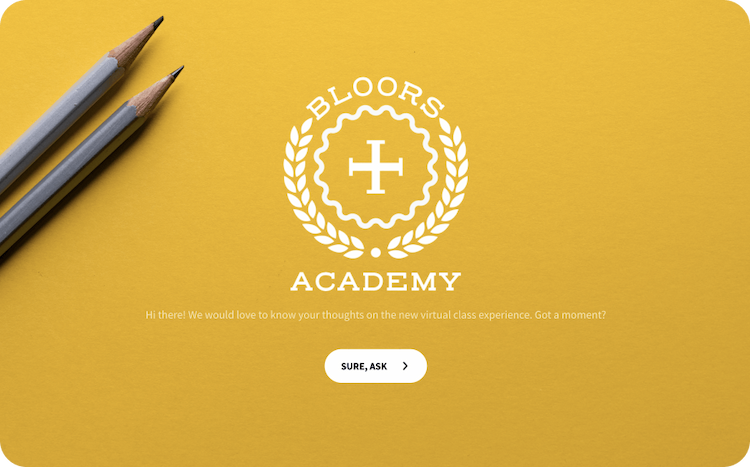 Virtual Class Feedback Form Template
