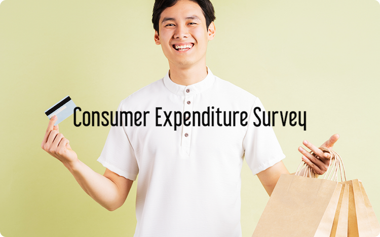 Consumer Expenditure Survey Template