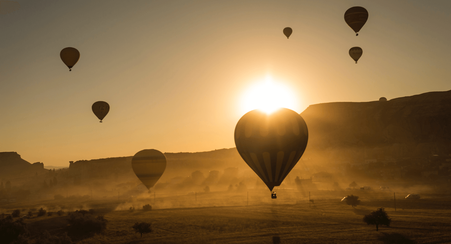 Launch Your Voice of Customer Program in 30 Minutes Flat! Launch Your Voice of Customer Program in 30 Minutes Flat!