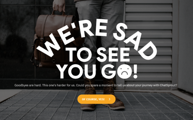 Customer Exit Survey Template Customer Exit Survey Template